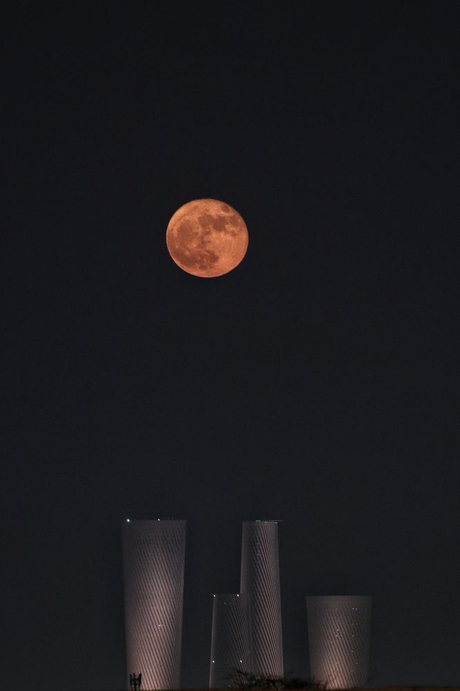 Photograph by Shabeeb