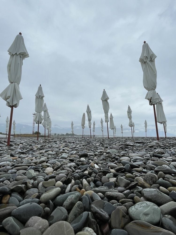 Фотография автора Юлия Недосекина