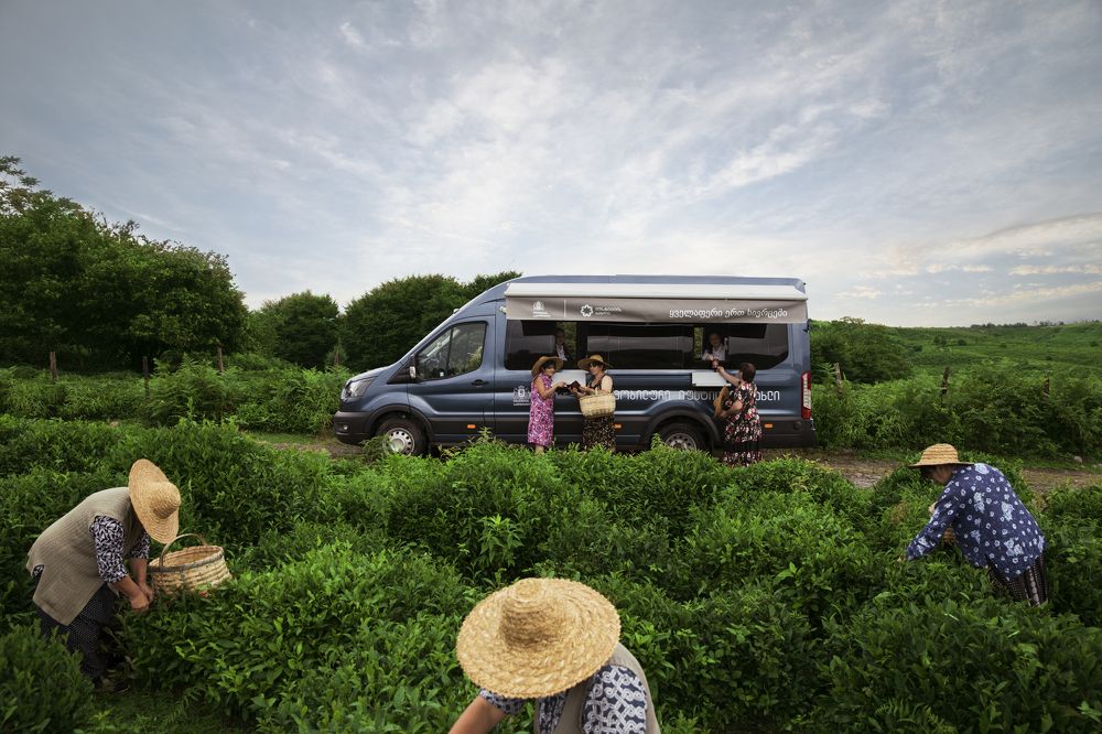 Photograph by Giorgi Jirashvili