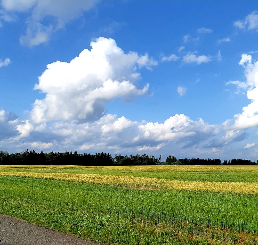 Фотография автора Ирина Лукьянчик