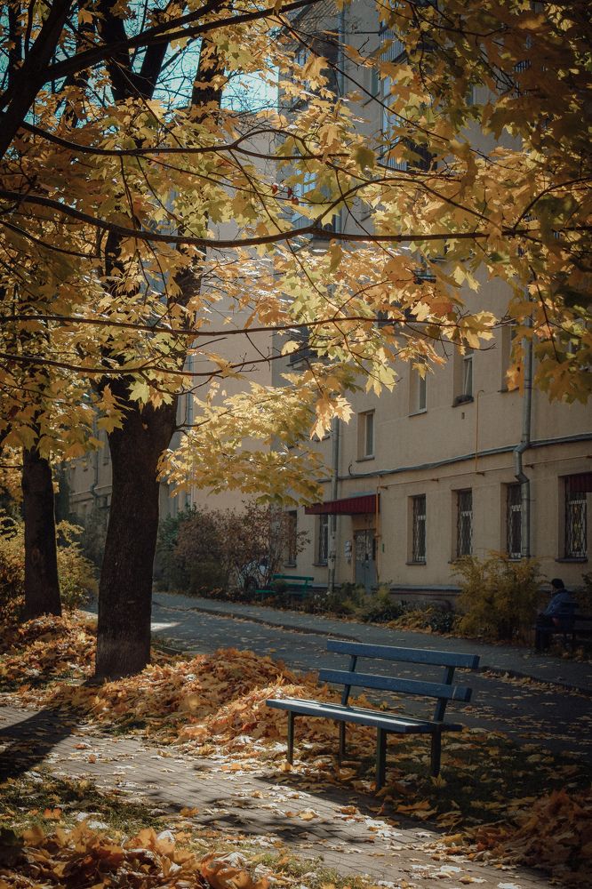 Фотография автора Ксения Вабищевич