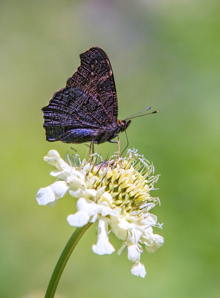 Photograph by Марина Ватанская