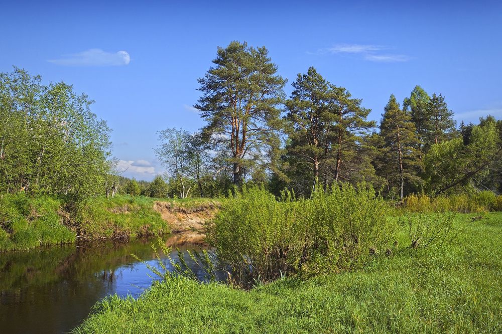 Photograph by Анатолий Максимов