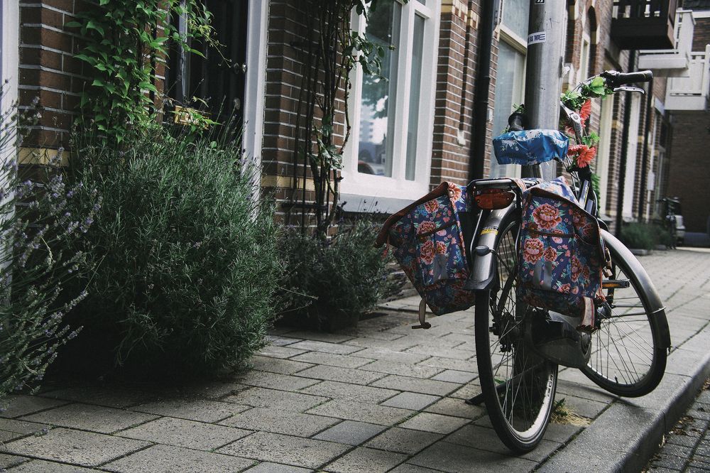 Фотография автора Rozman Erik