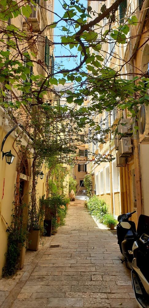 Photograph by Viktorova