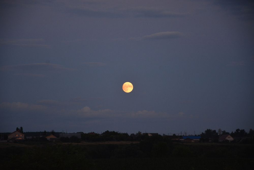 Photograph by Светлана Немонтова