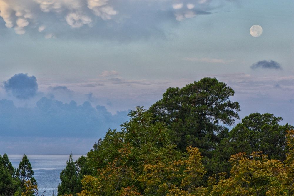 Photograph by Василиса Прекрасная