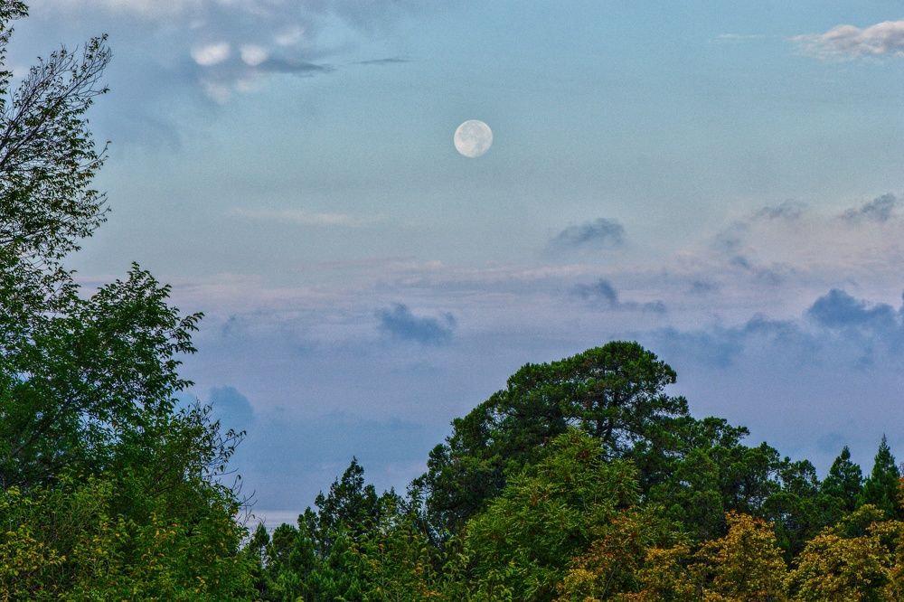 Photograph by Василиса Прекрасная