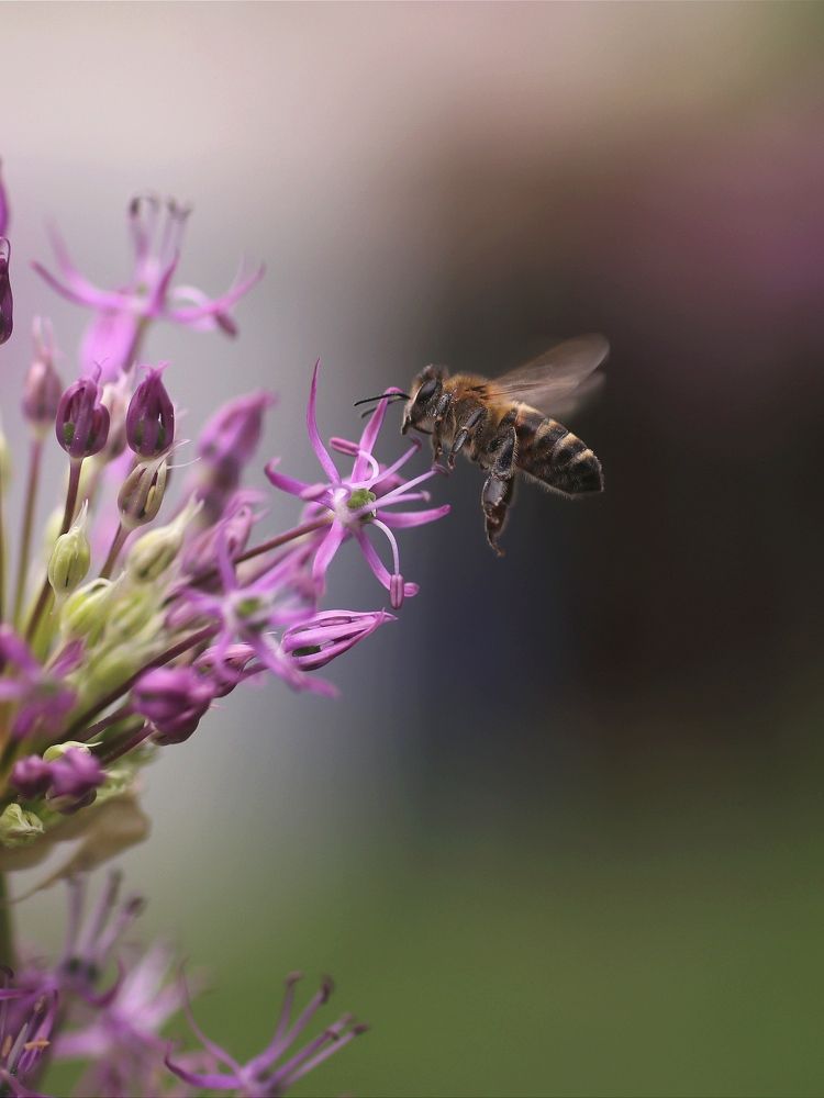 Photograph by Светлана Богомолова
