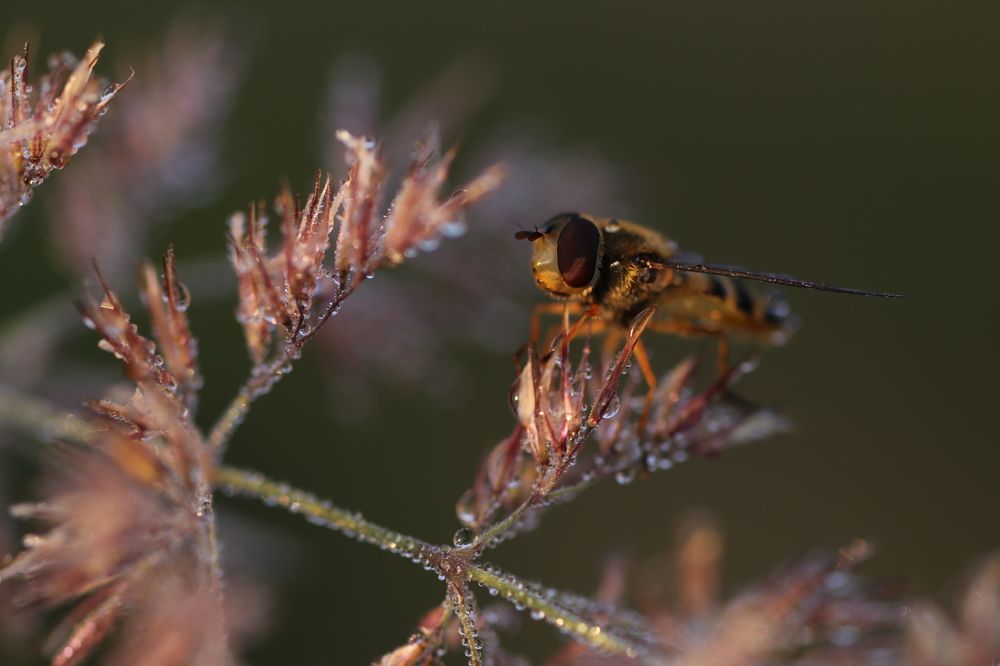 Photograph by Светлана Богомолова