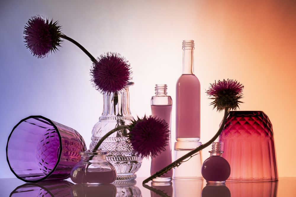 Фотография автора Anna Ilieva-Alikaj