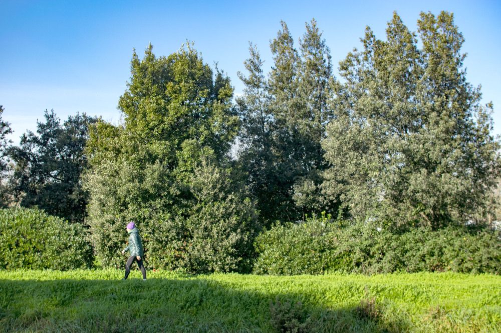 Photograph by SIMONE CIULLI