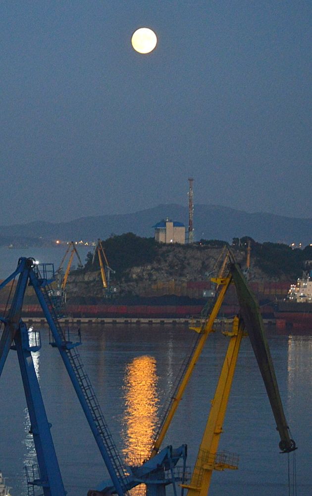 Photograph by Natalia Kopeva