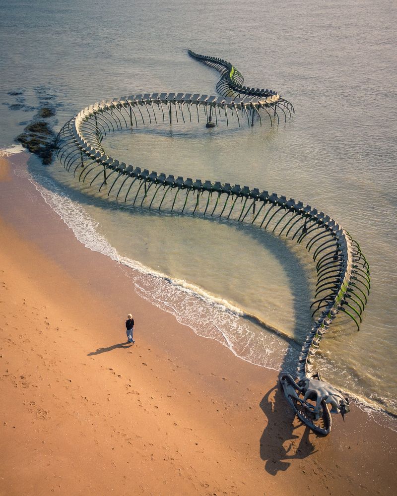 The Ocean Serpent