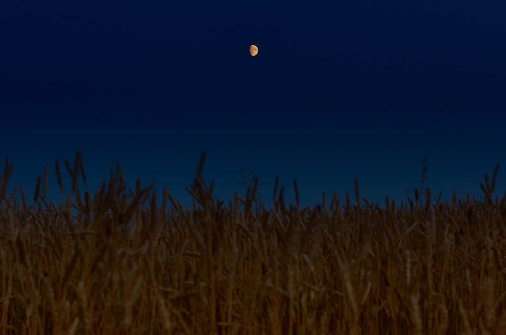 Photograph by Сергей Богданов