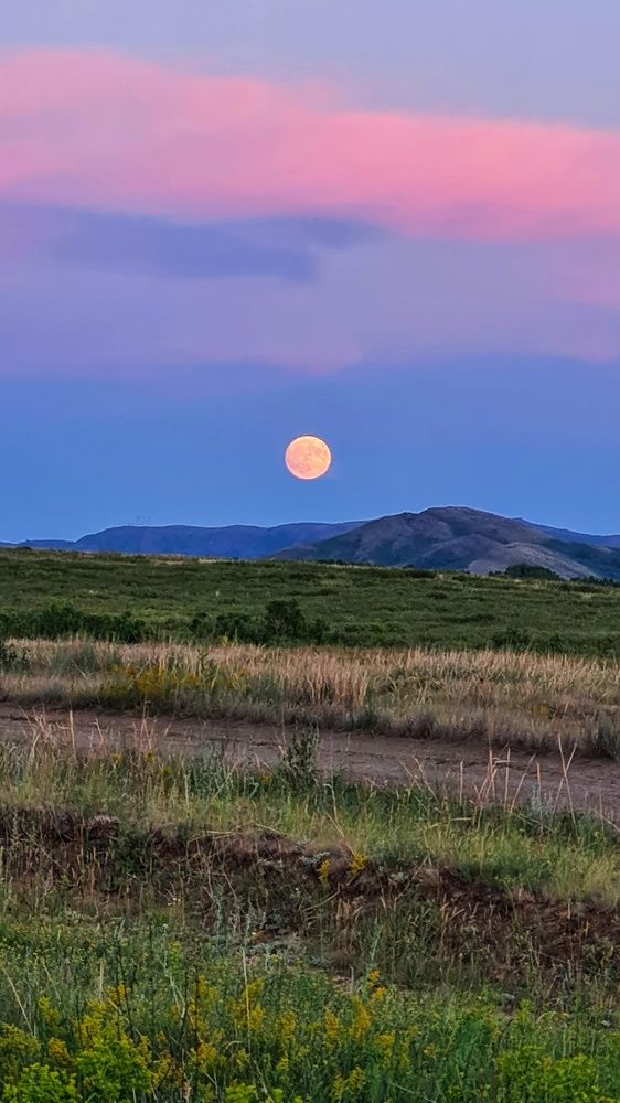 Photograph by Ольга Веселова