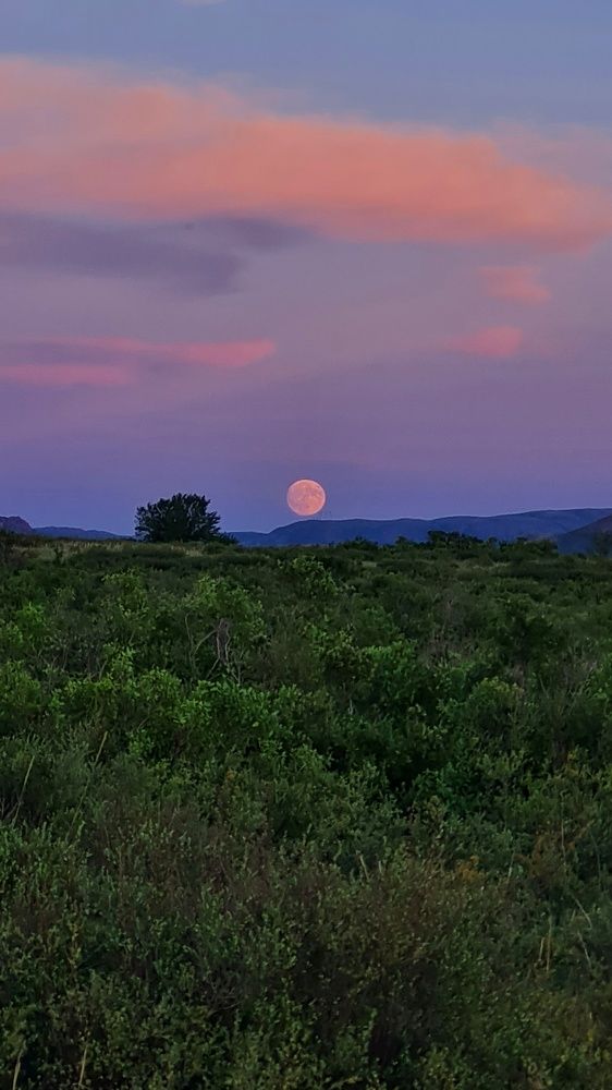 Photograph by Ольга Веселова