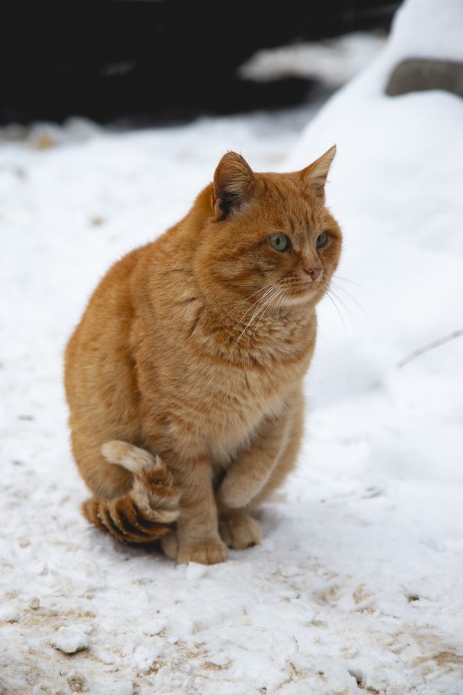 Photograph by Полина Шаронова