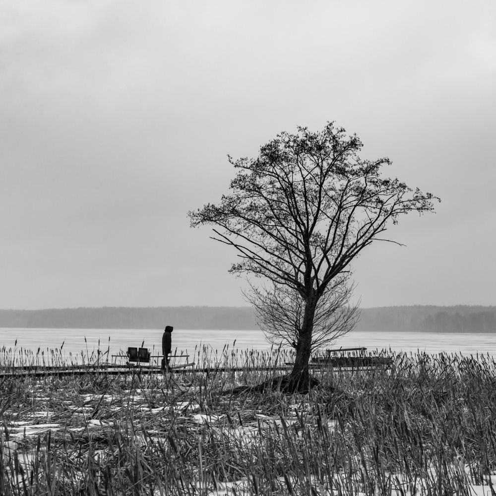 Photograph by Владимир Ликман