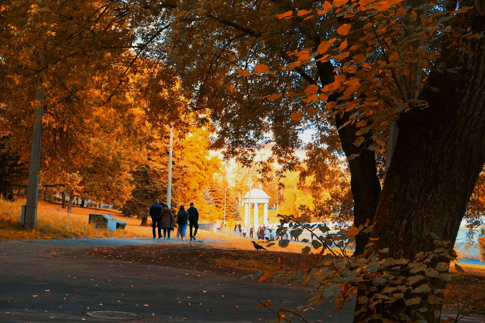 Photograph by Александра Пецевич