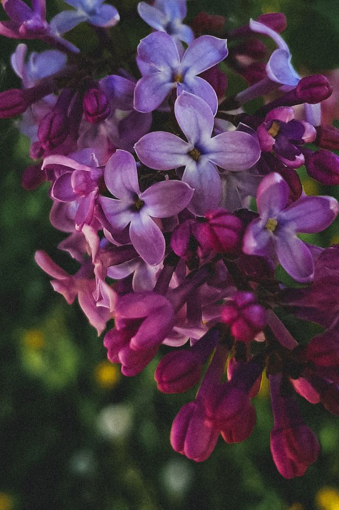 Photograph by Марина Слепова