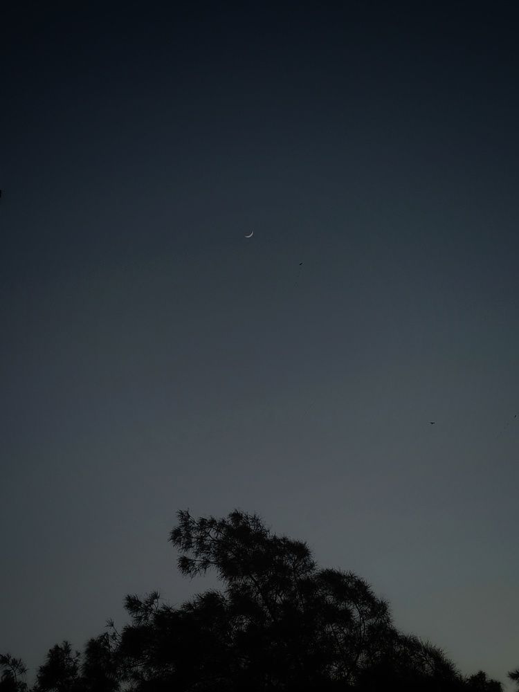 Photograph by Asmaa Mohammad Ahmed