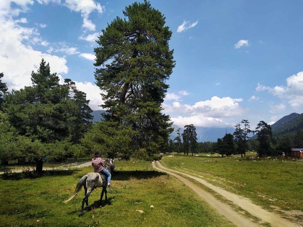 Photograph by Михаил Зорин