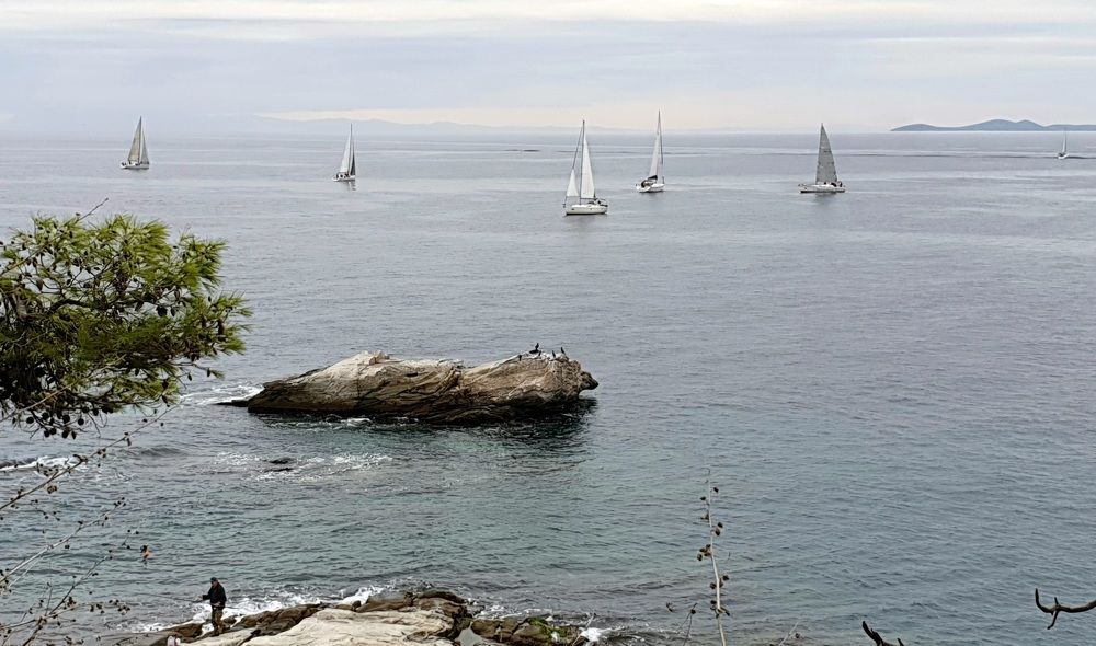 Photograph by Viktorova