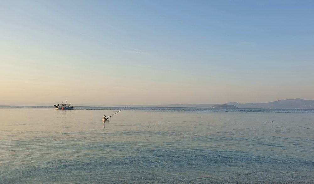 Photograph by Viktorova