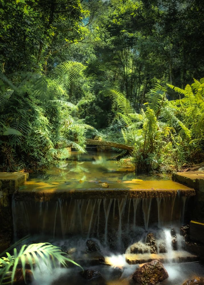 Photograph by Kavindu