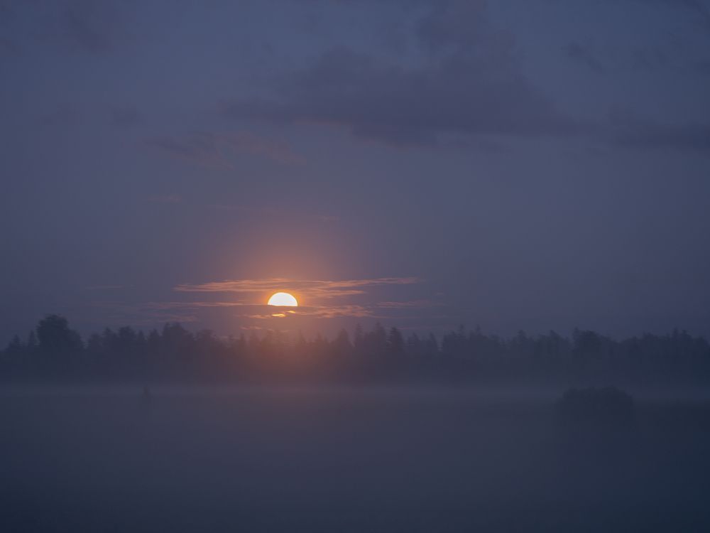 Photograph by Ирина Баландина