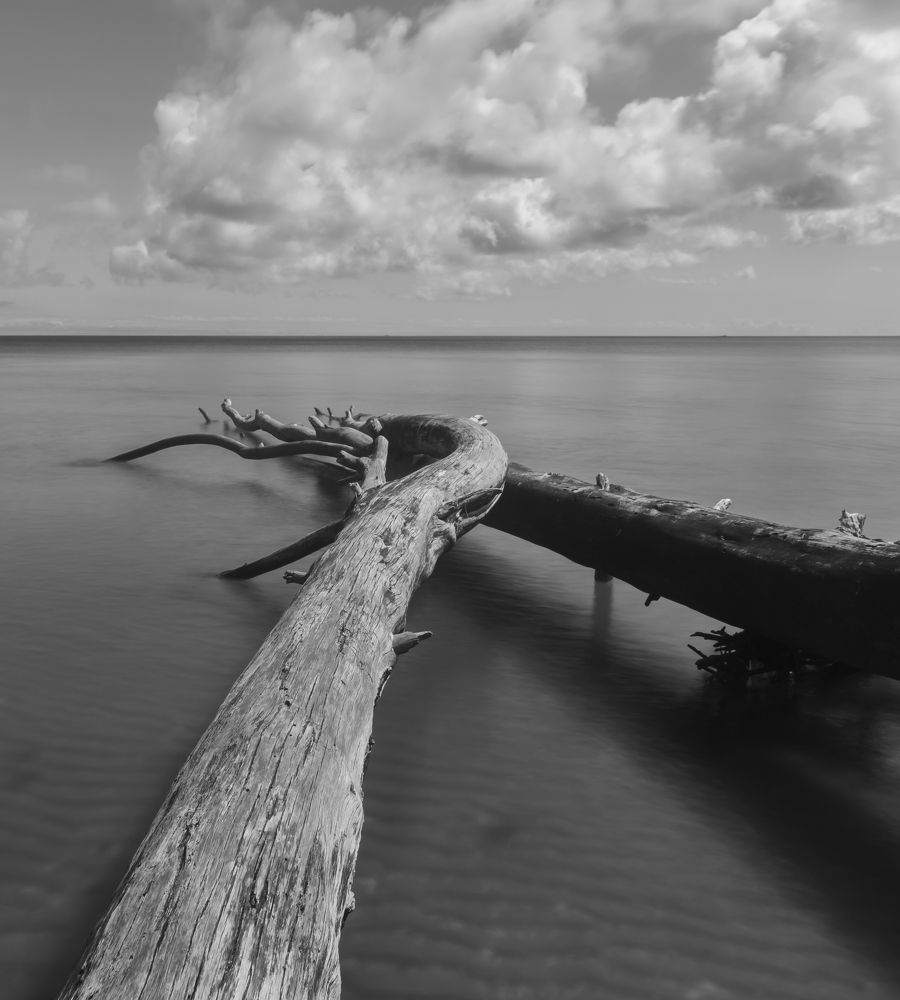 Photograph by Agita Leimane