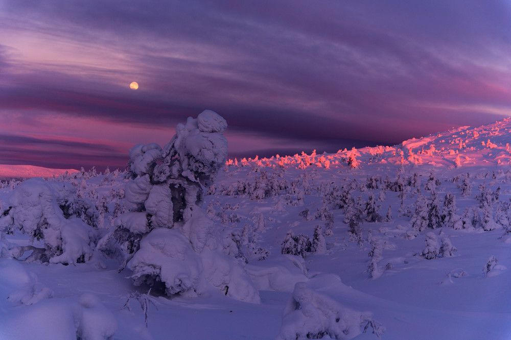 Photograph by Karasev Pavel