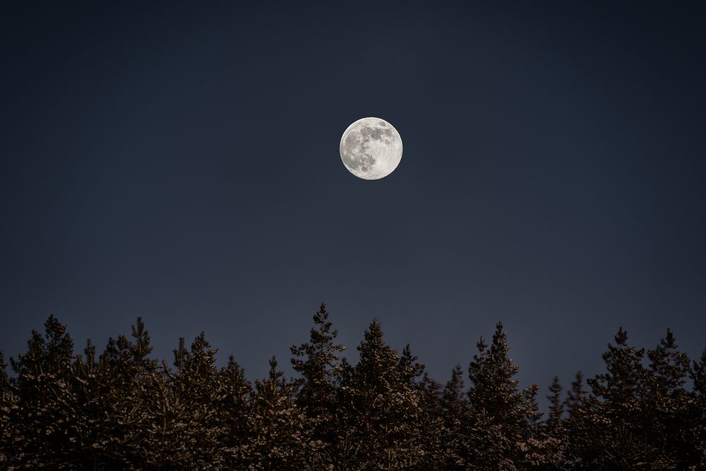 Photograph by Александр Мещеряков