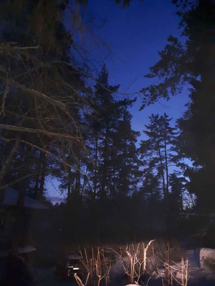 Photograph by Людмила Ковалева