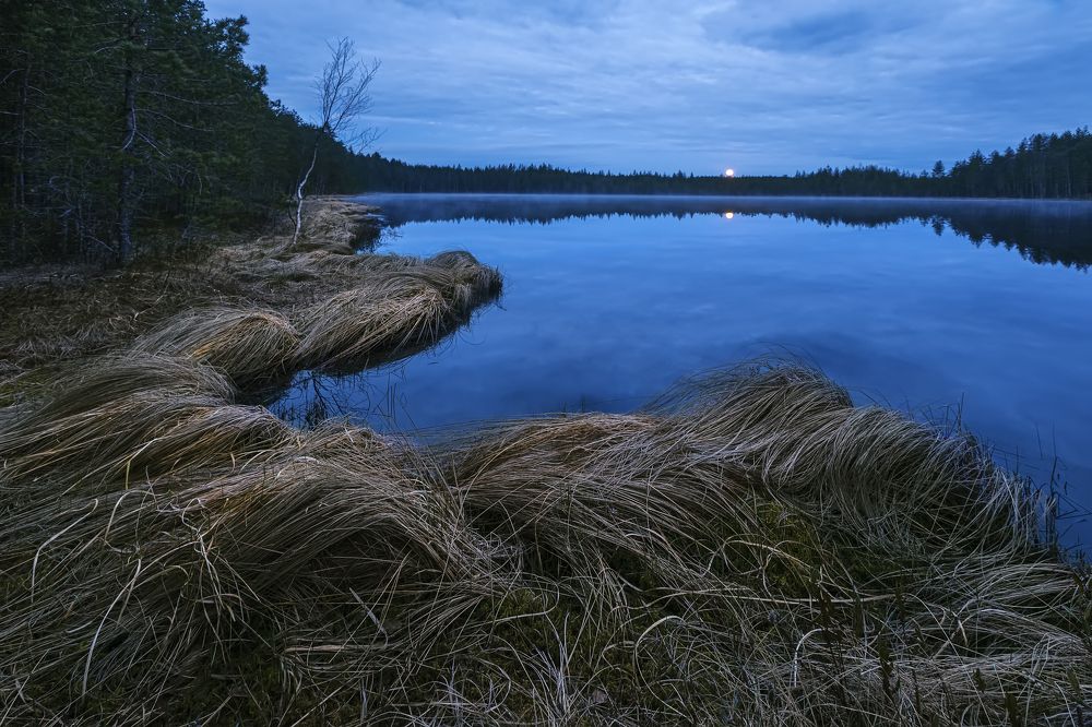 Photograph by Ярослав Лукьянов