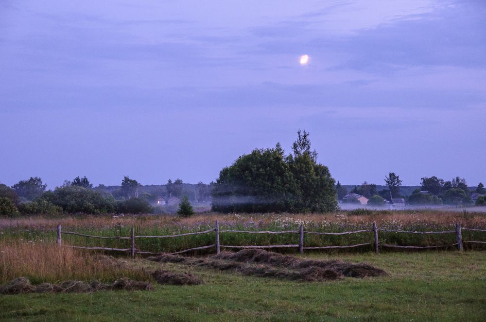 Photograph by Романов Денис