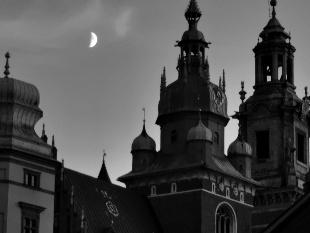 Photograph by Palina Mikhailouskaya