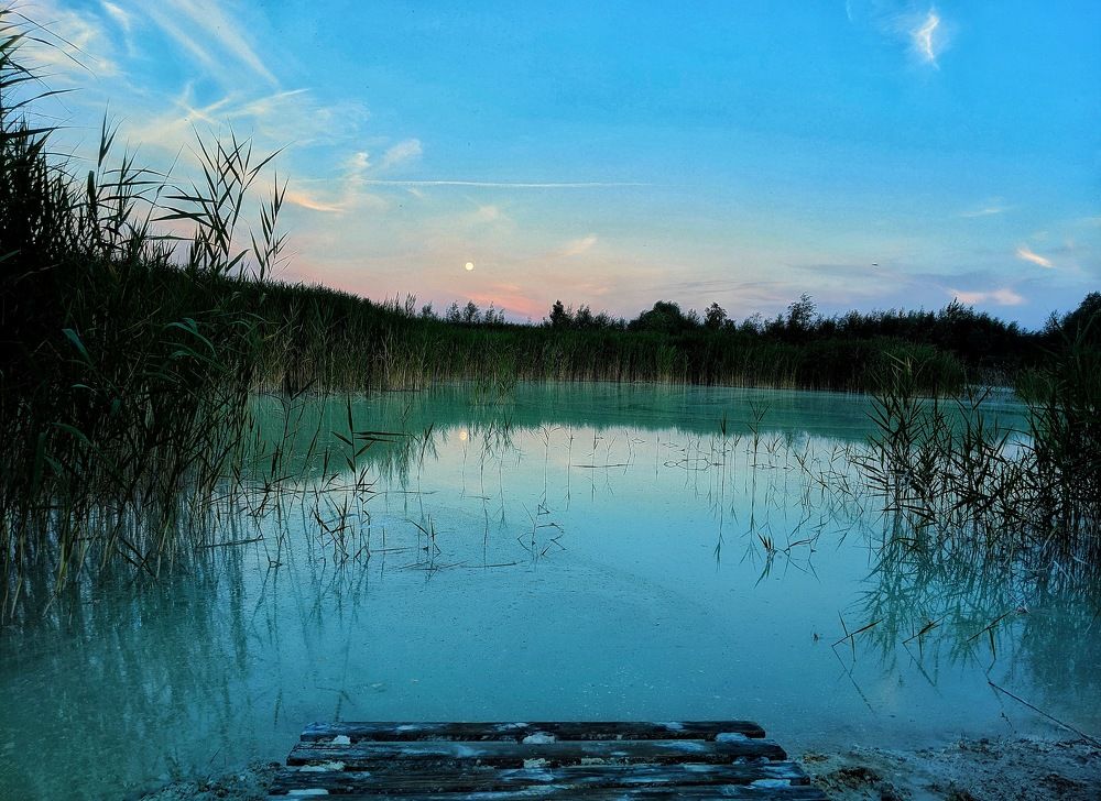 Photograph by Gabriela Meghnini