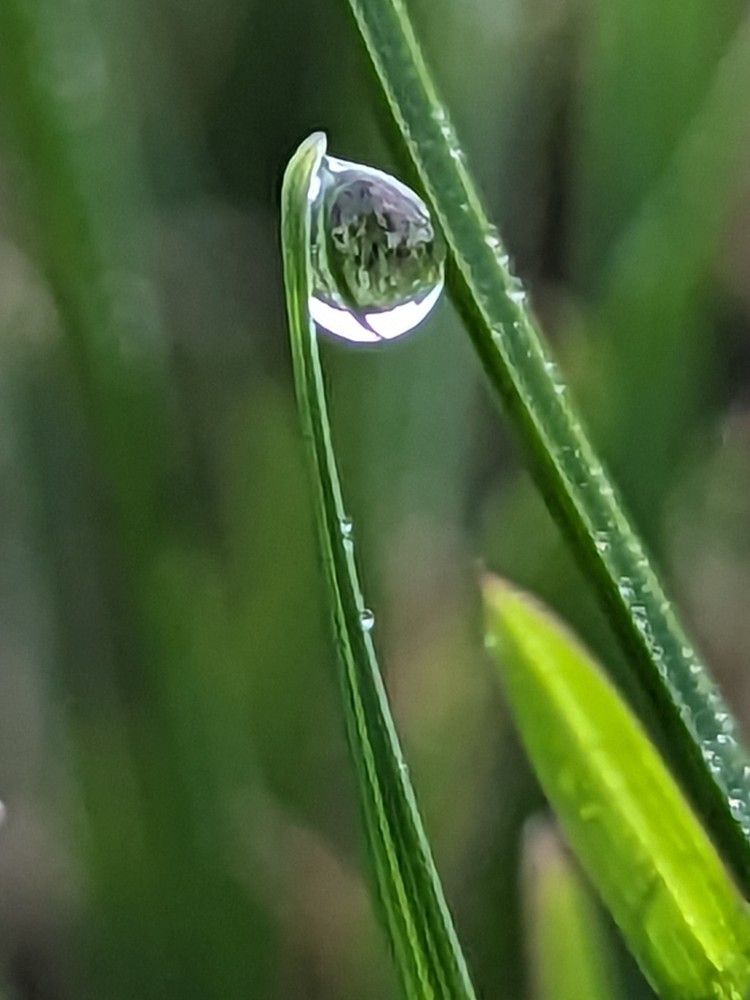 Photograph by 