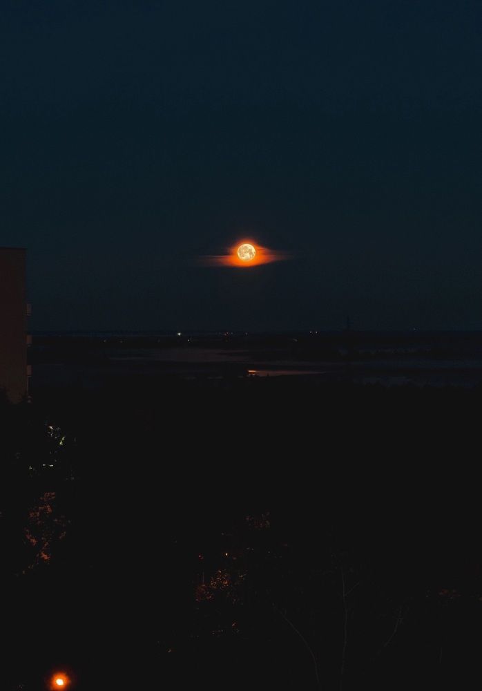 Photograph by Алина Шорина