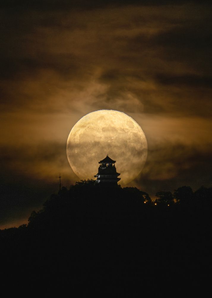 Photograph by Hiroki Matsubara