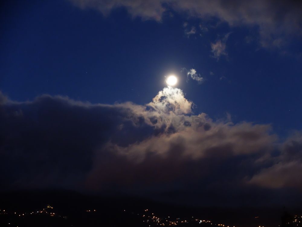 Photograph by ,Бурова Лариса