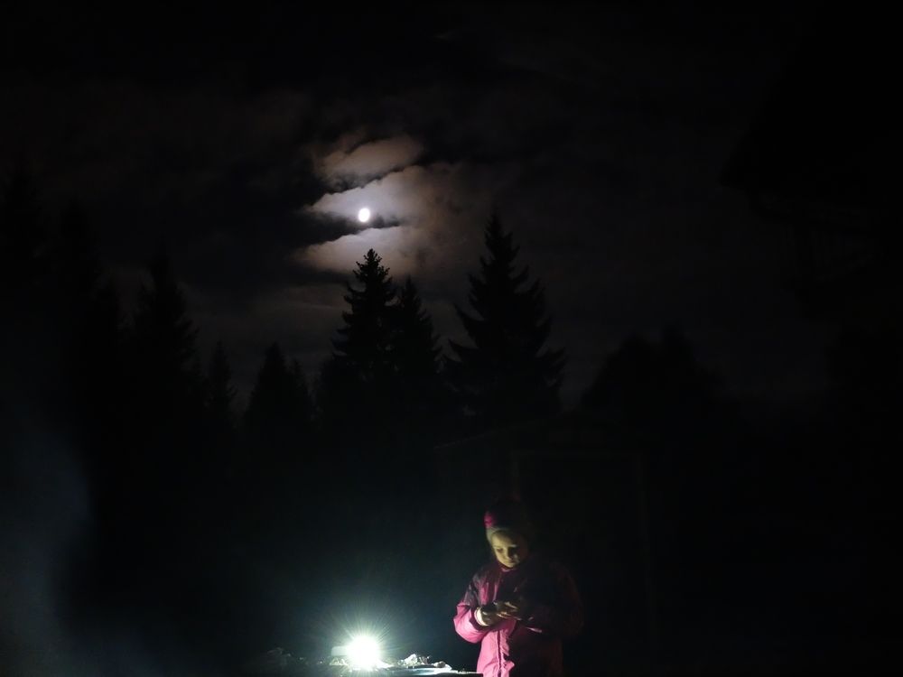 Photograph by ,Бурова Лариса