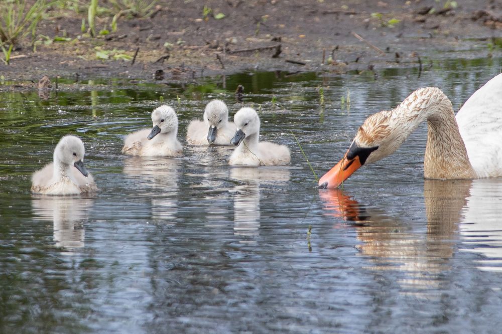 Photograph by Aleksei Utkin