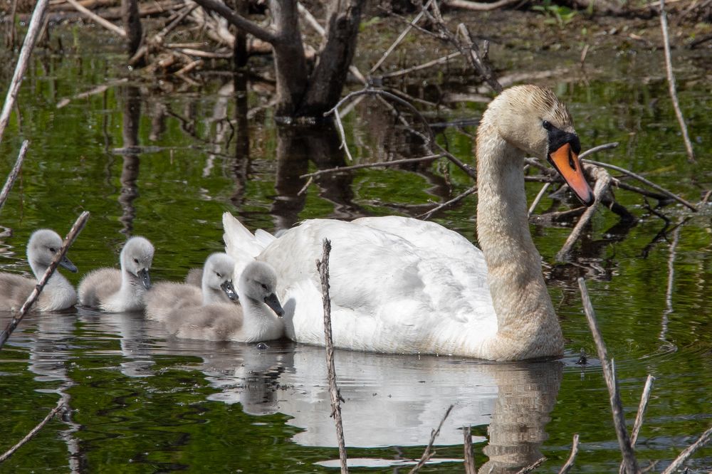 Photograph by Aleksei Utkin