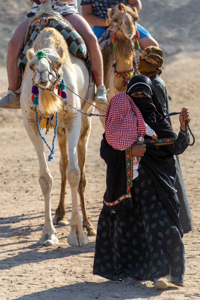 Photograph by Евгений Фонин