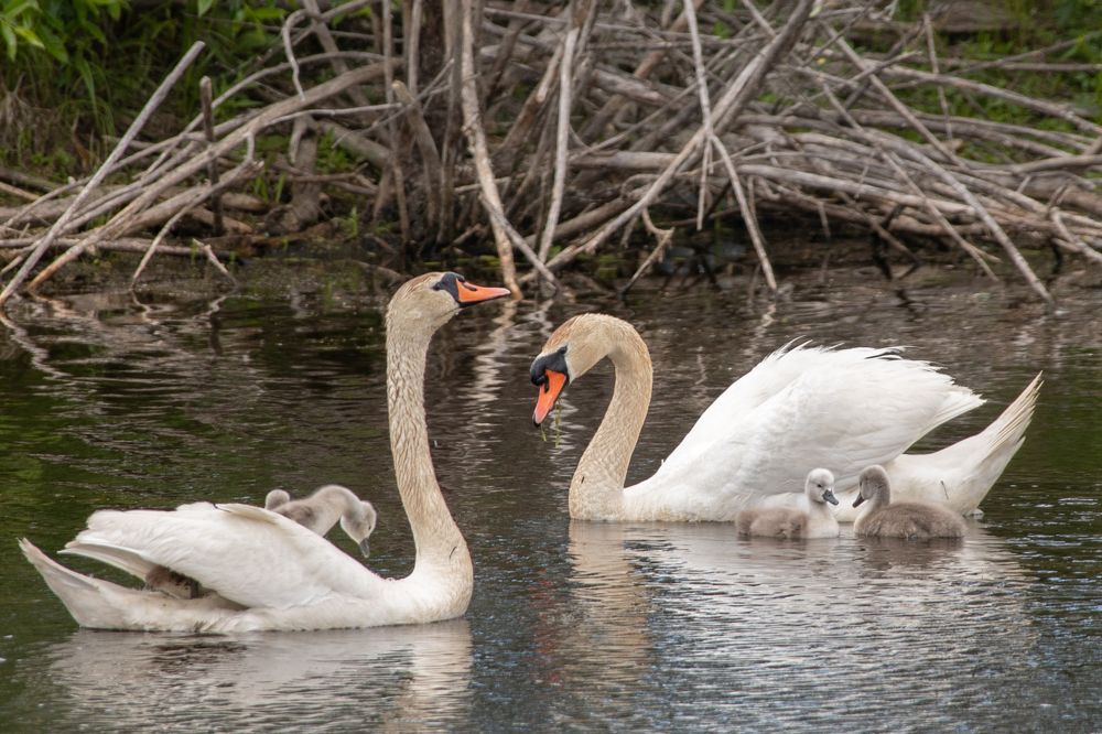 Photograph by Aleksei Utkin