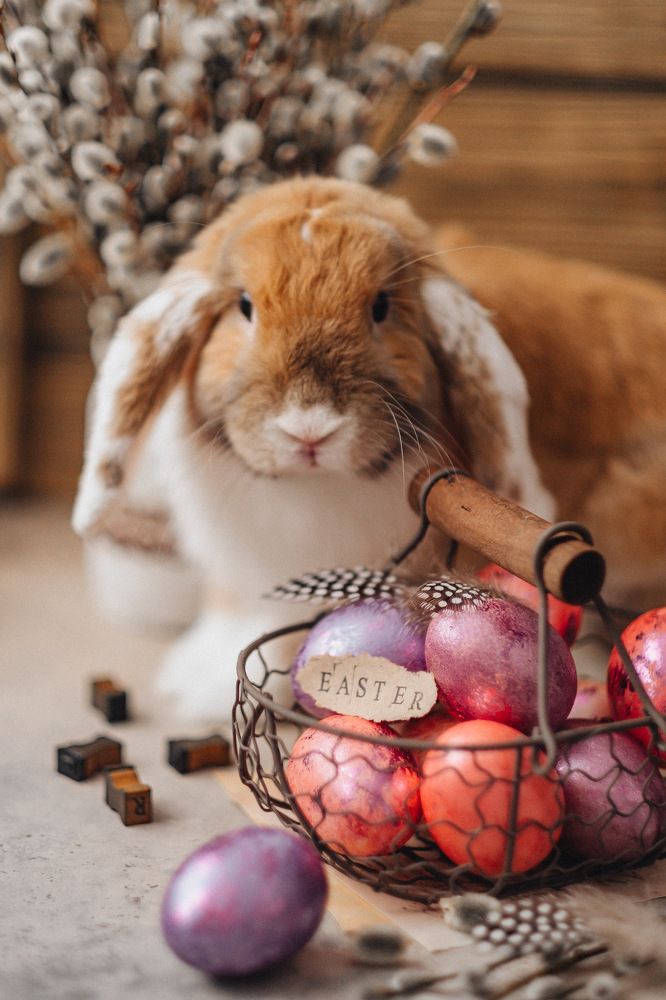 Photograph by Nataly Cook