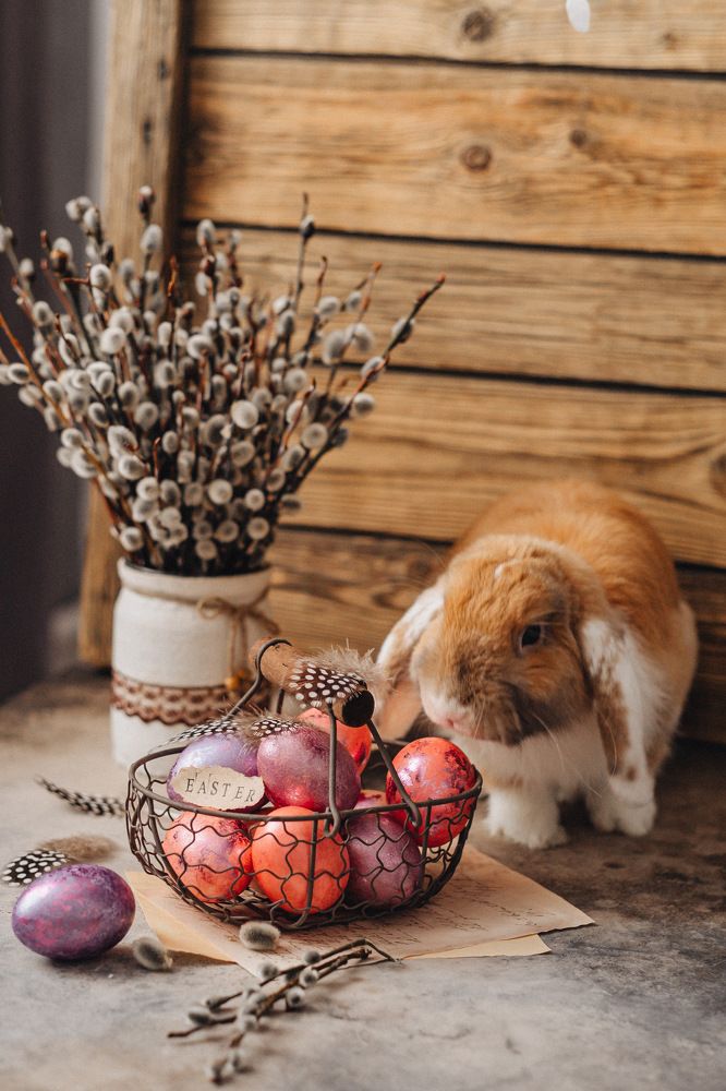 Photograph by Nataly Cook